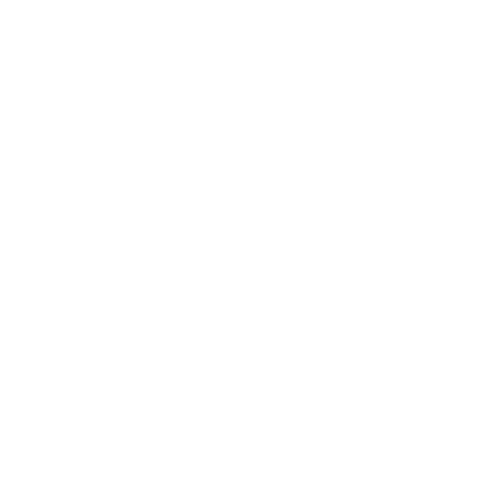 digital skilss logo