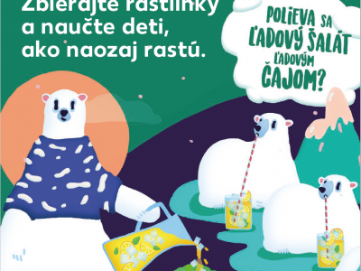 Kaufland cez kampaň Moja malá záhradka učí deti pestovať rastlinky