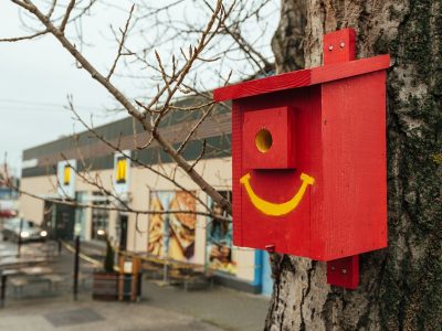 Pri McDonald’s reštauráciách sa objavujú jedinečné vtáčie búdky